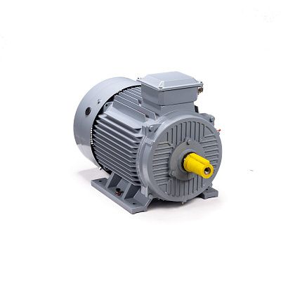 Электродвигатель ESQ PR 250 S2 GST-Б1-S12-IE2 76/3000 IM 1001