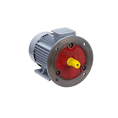 Электродвигатель ESQ PR 225 M4 GST-Б1-S12-IE2 55/1500 IM 2001