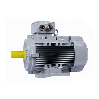 Электродвигатель ESQ PR 100 LA2-SDN-Б1-S12-IE3 3/3000 IM B3