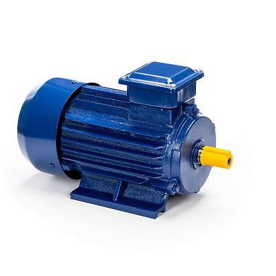 Электродвигатель 5АИ 63 В2 0.55/3000 IM 1081