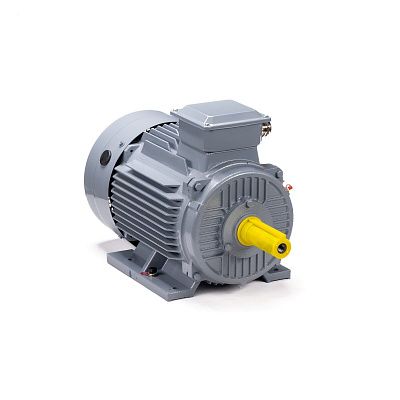 Электродвигатель ESQ PR 132 M6 GST-Б1-S12-IE2 7.6/1000 IM 1081