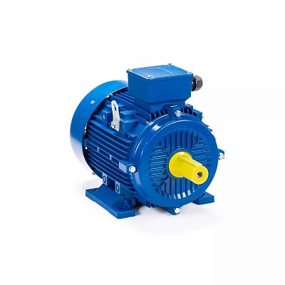 Электродвигатель ESQ 112 M2-GST-HT-H-T2 7.6/3000  IM 1081