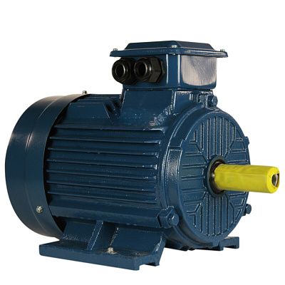 Электродвигатель 5АИ 100 L6 ET 2.2/1000  IM 1081