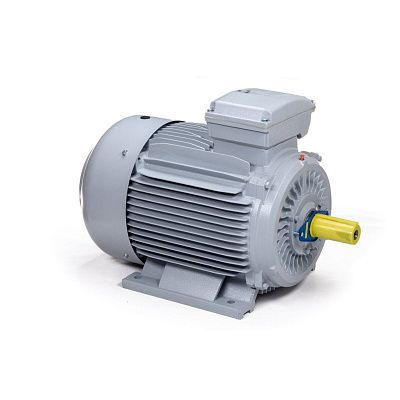 Электродвигатель ESQ PR 200 LA6-SDN-Б1-S12-IE2 18.5/1000 IM B3