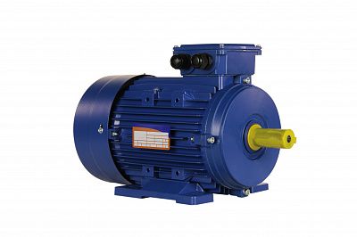 Электродвигатель 5АИ 100 L4 ED 4/1500  IM 1081