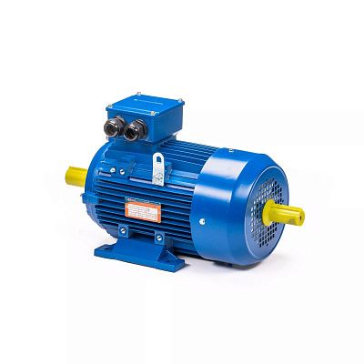 Электродвигатель 5АИ 100 L4 ED12ED12М 4/1500  IM 2082