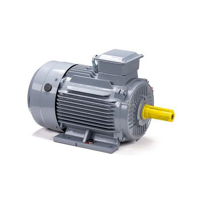 Электродвигатель ESQ PR 160 S2 GST-Б1-S12-IE2 15/3000 IM 1001